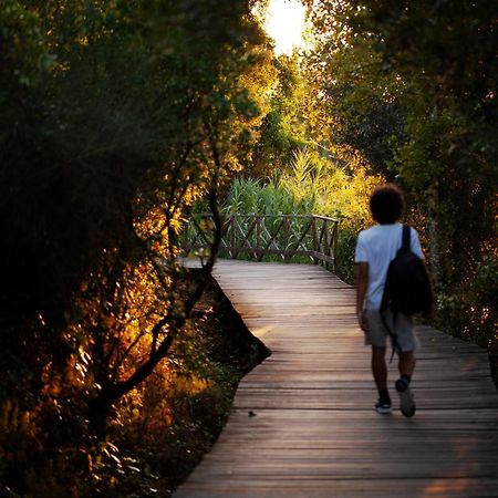 Belver  A Saboeira - Turismo Rural מראה חיצוני תמונה